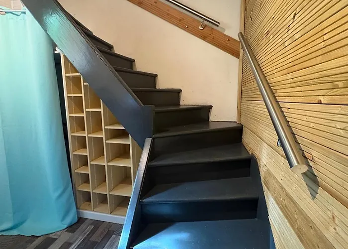 Renove Entre Castres & Toulouse L Climatise Διαμέρισμα